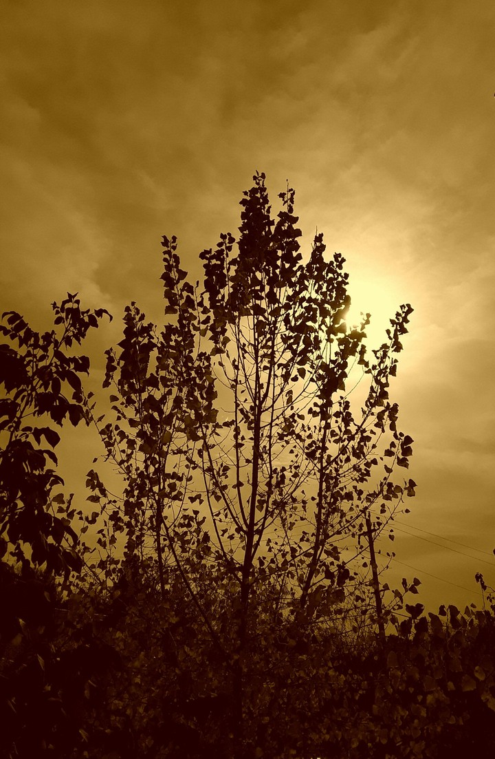 a great sunshine