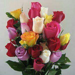 roses