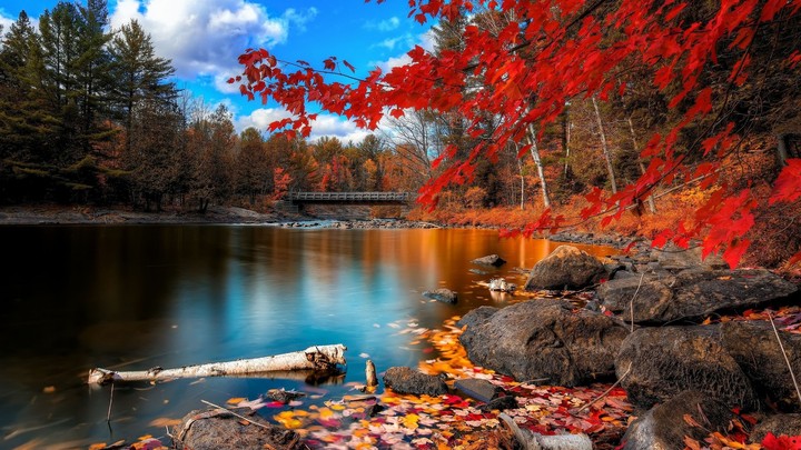 autumm time