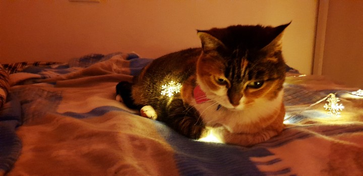 light!