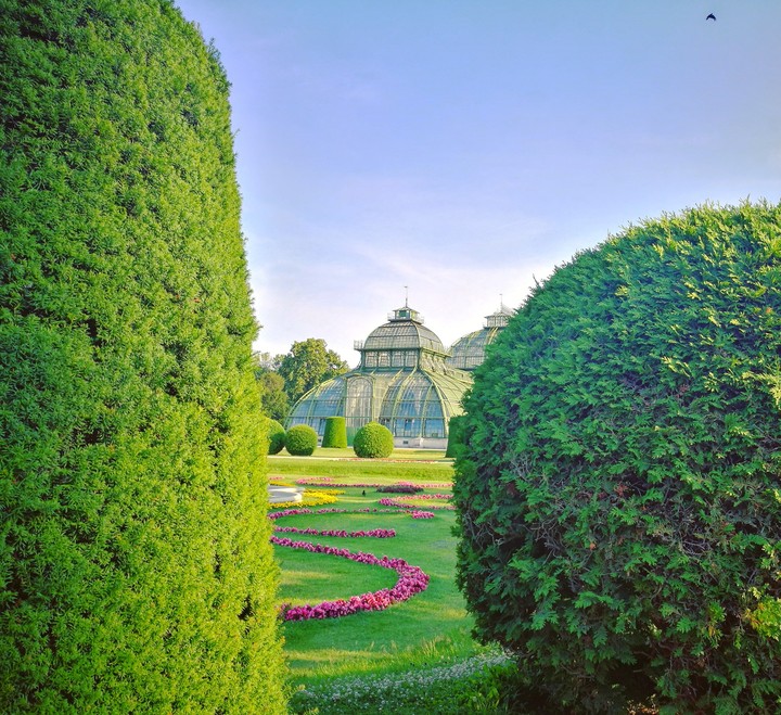 Greenhouse in Vienna