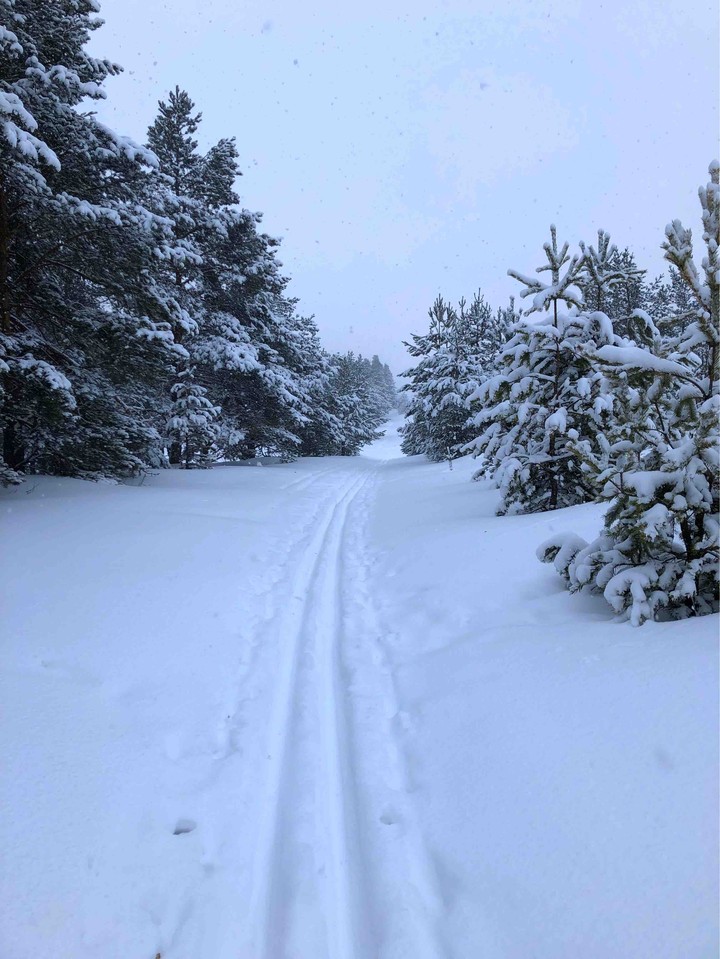 snow