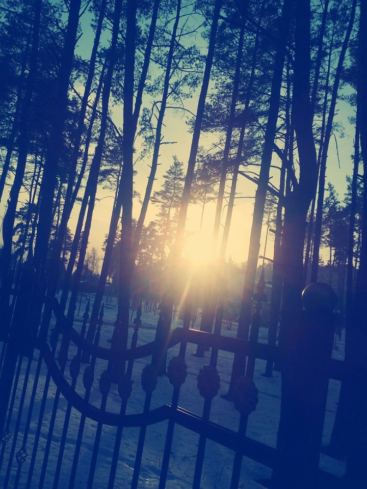 the sun