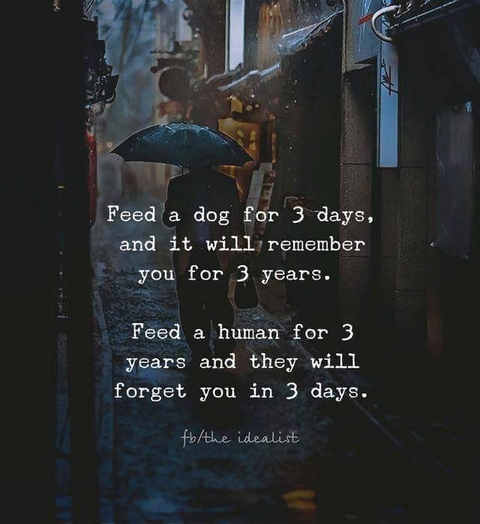 lesson