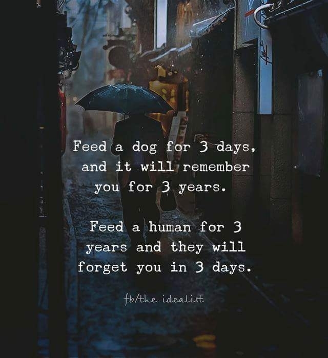 lesson