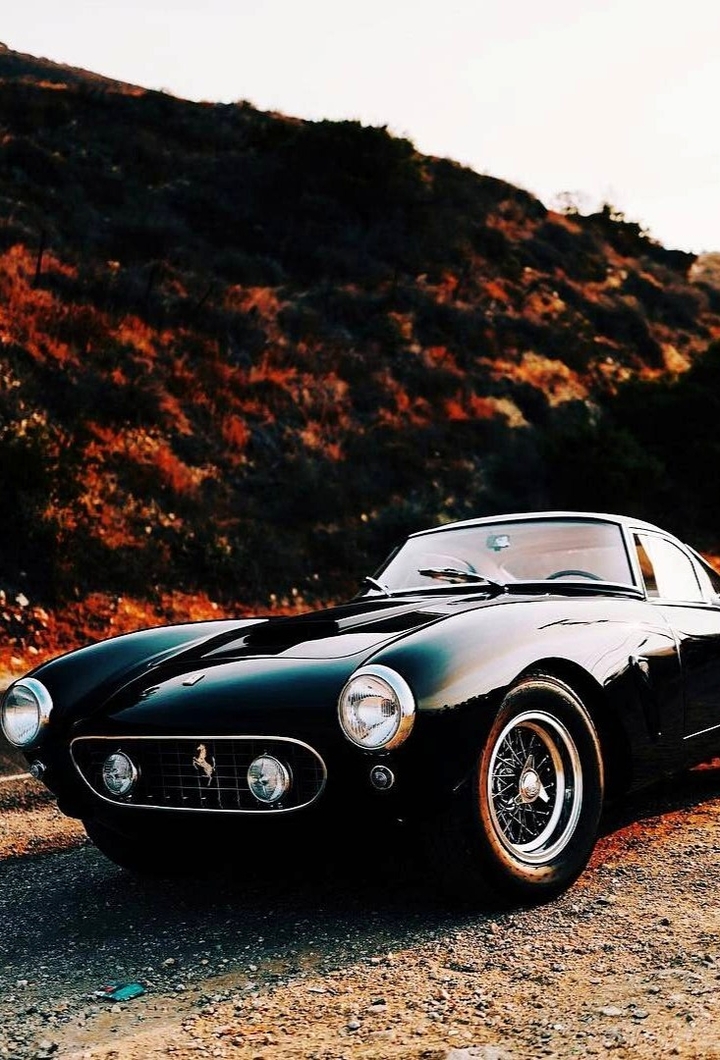 mustang