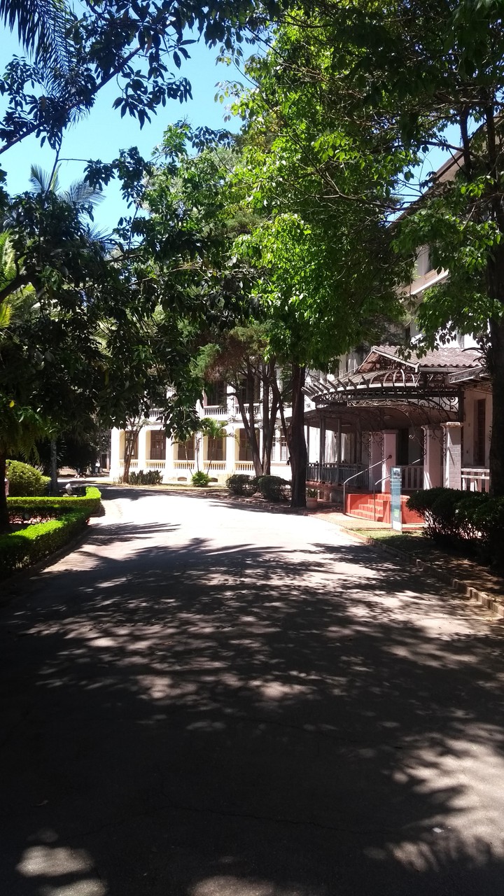 Vicentina Aranha