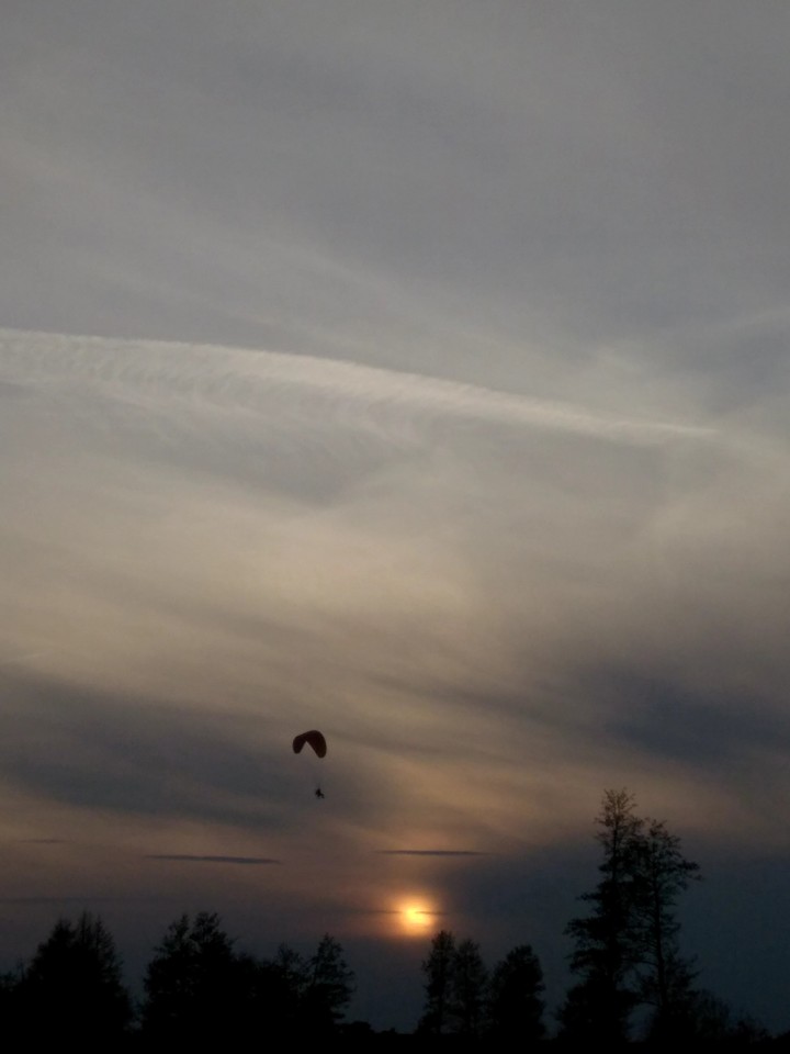 picture 1