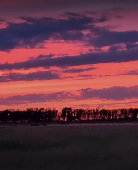 sunrise, 天空壁纸