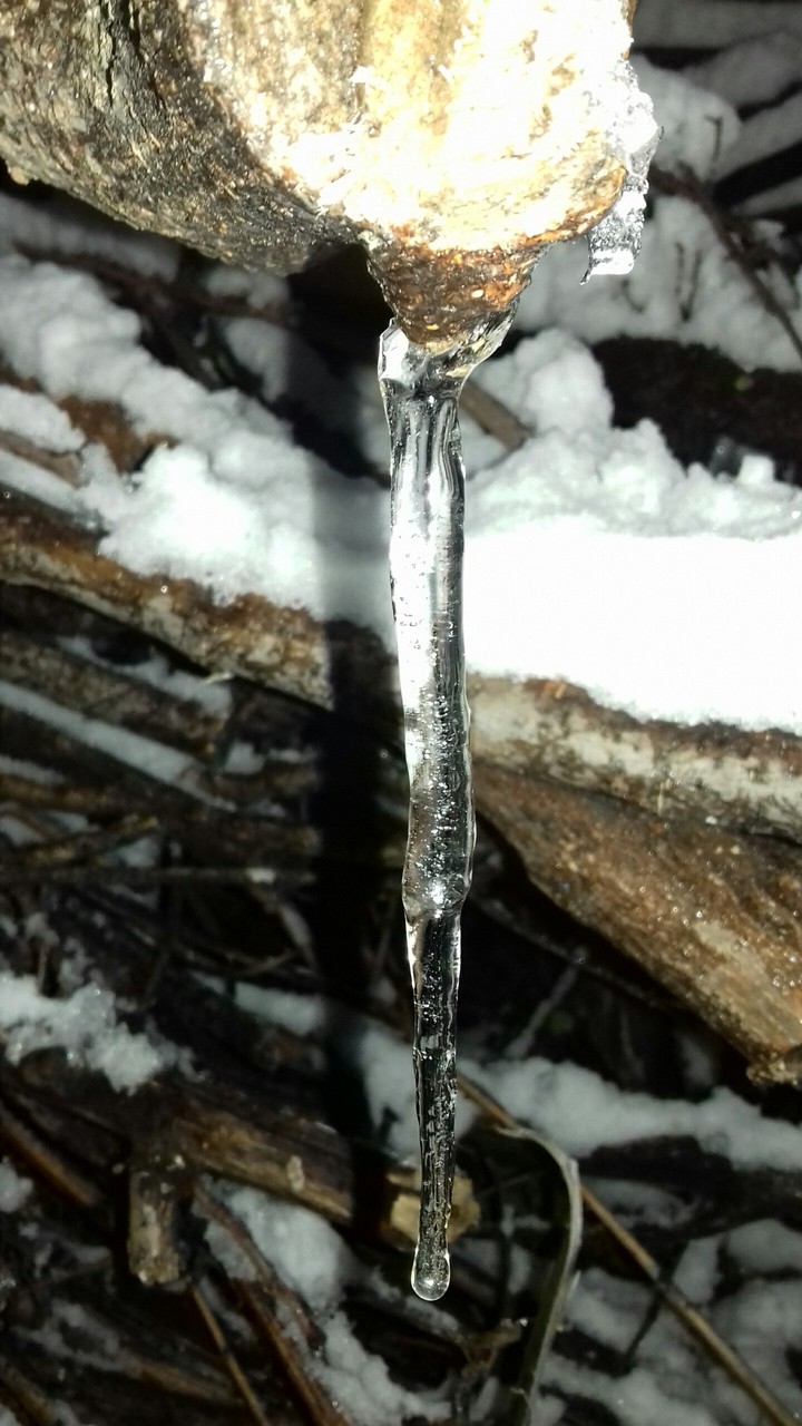 zima