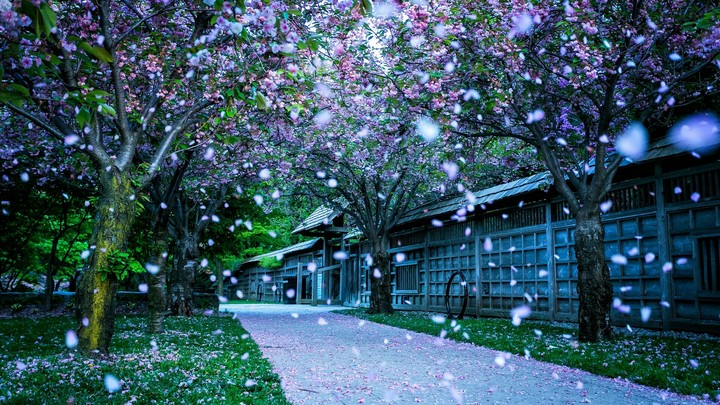 spring