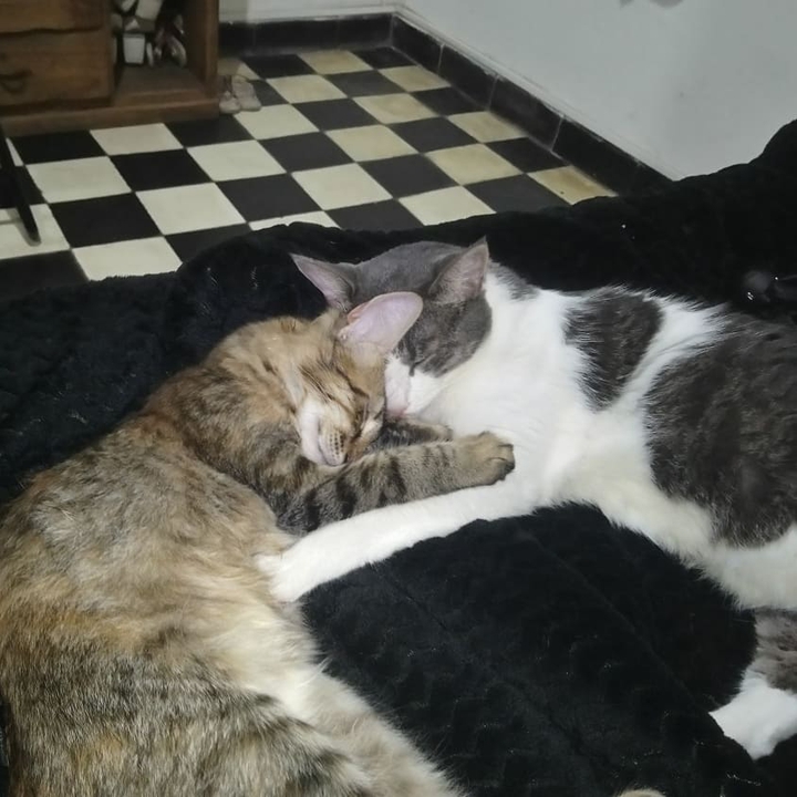 Friends 3