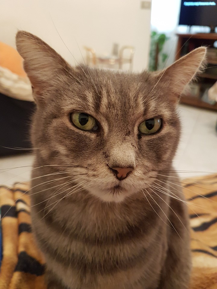nella
