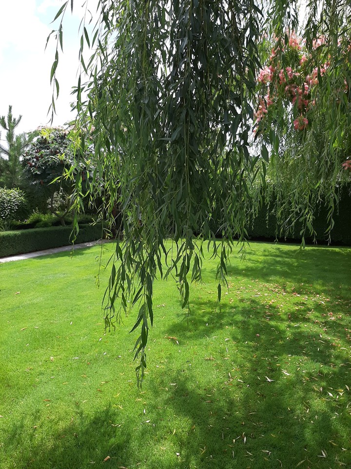 #green
