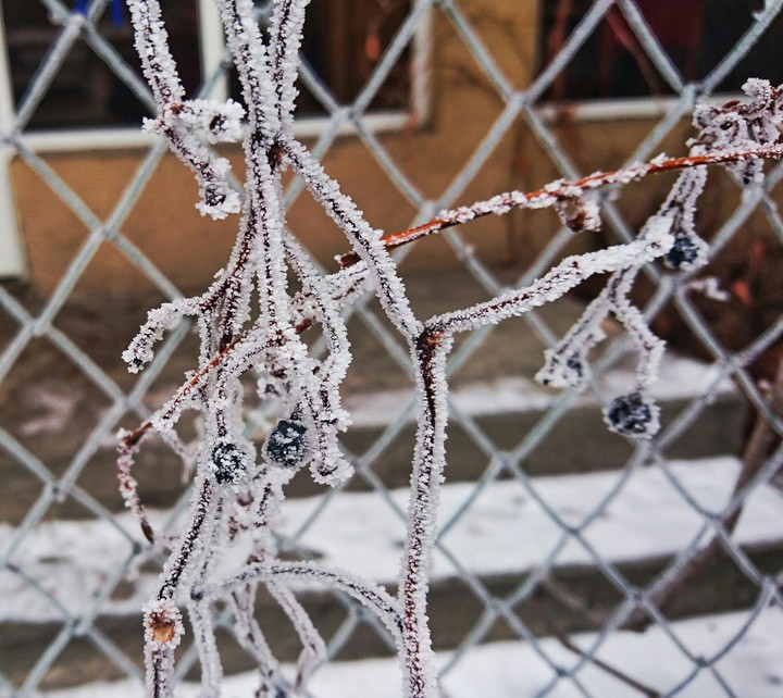 snow