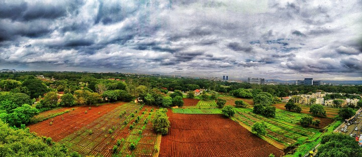 wide shot