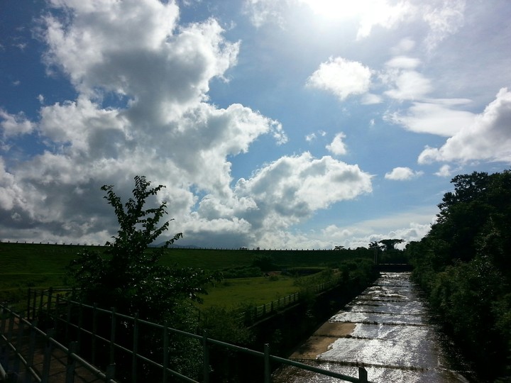 nature