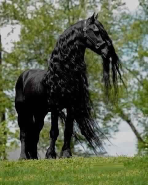 so beautiful