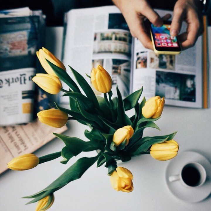 just tulipes