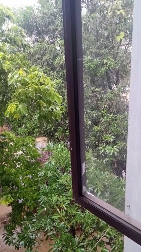 rain outside the window...