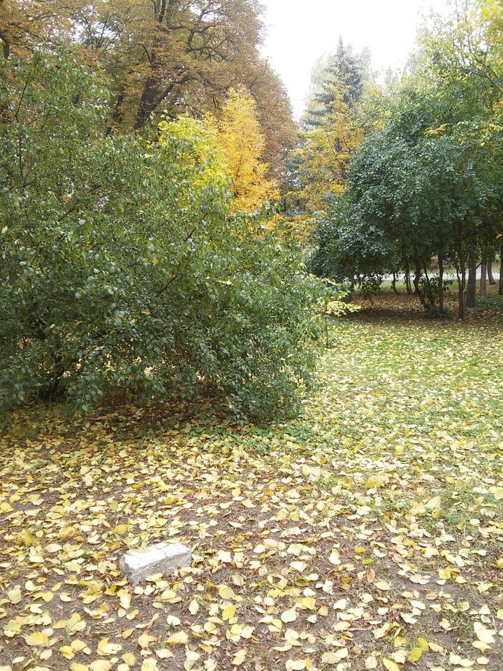 Осень