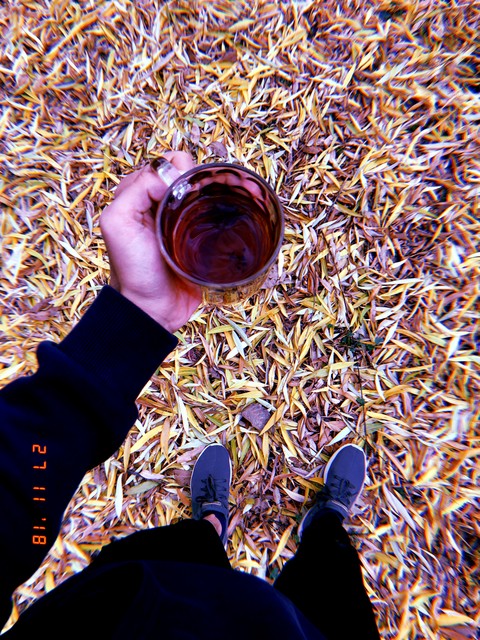 mine garden