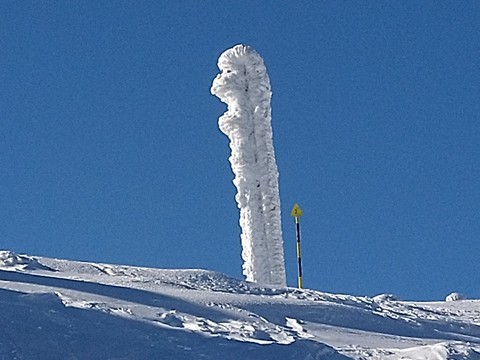 ICE SCULPTURE