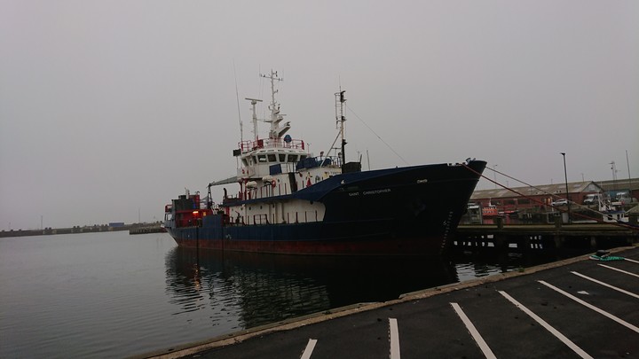 Harbor foggy morning