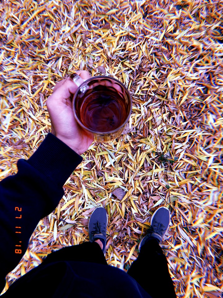 mine garden