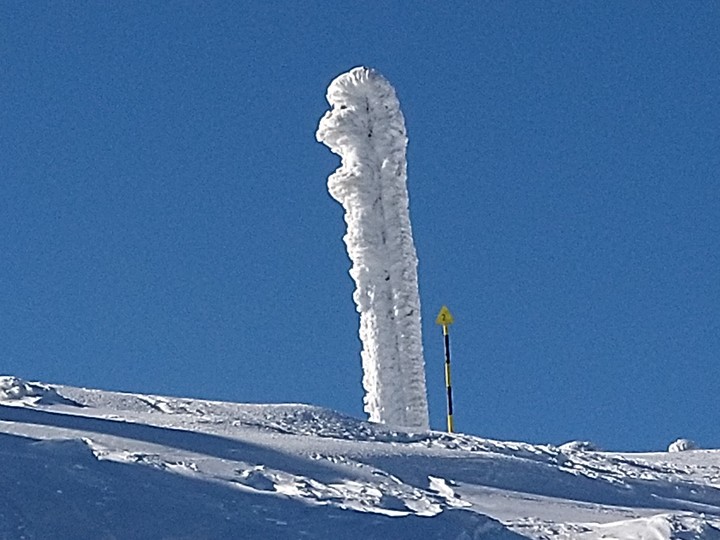 ICE SCULPTURE