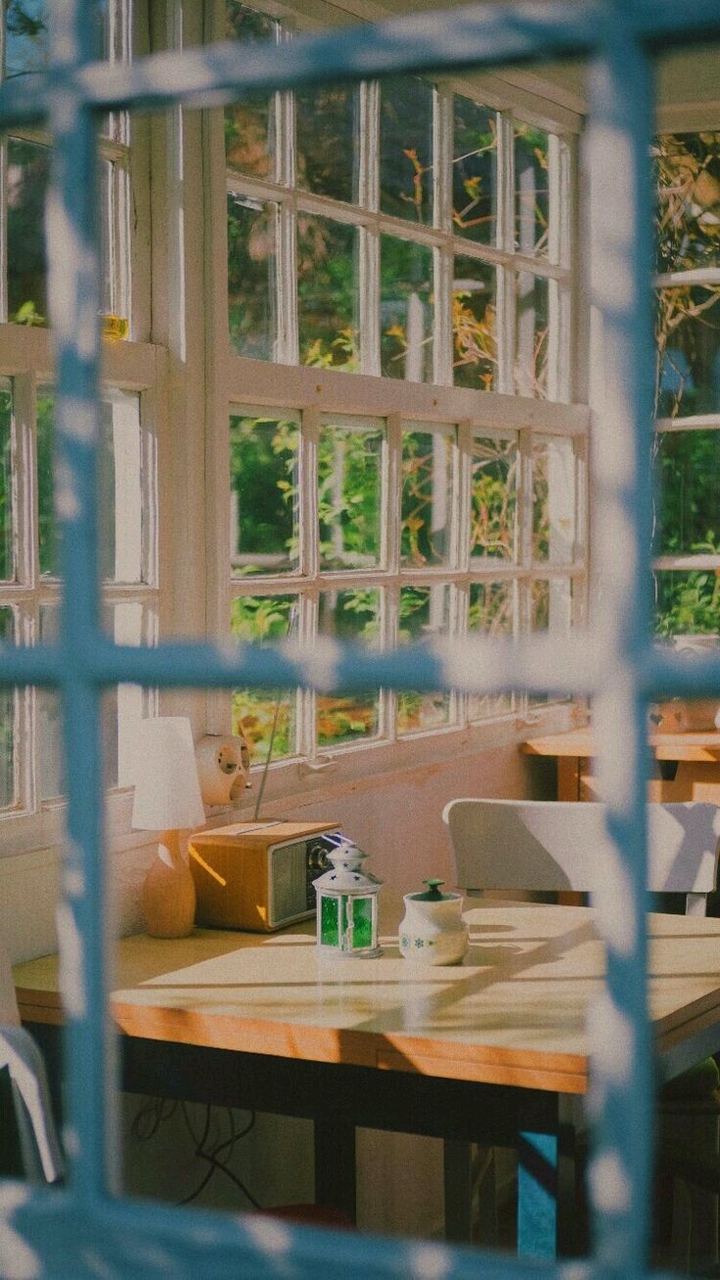 Window