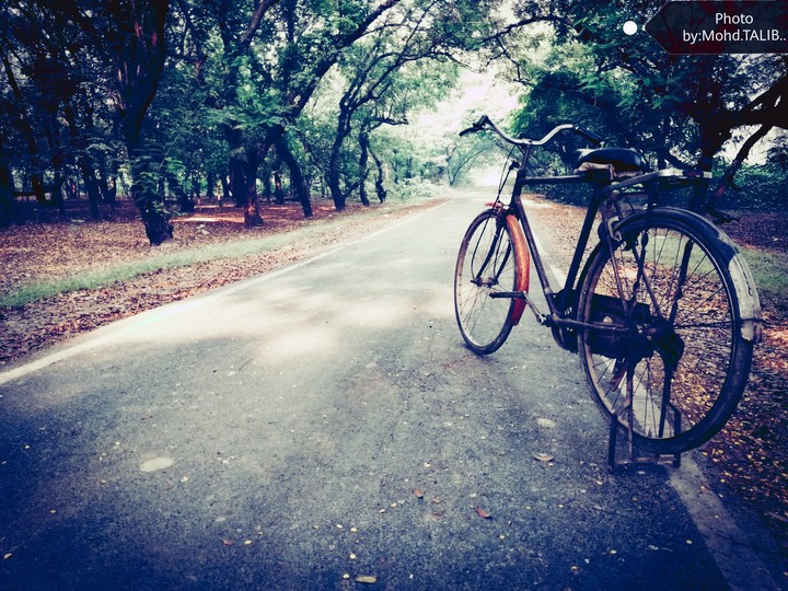 old cycle