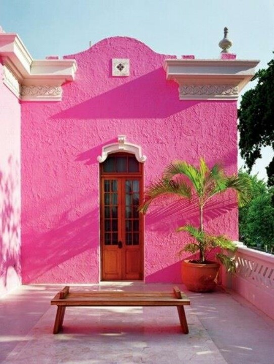 frente rosada