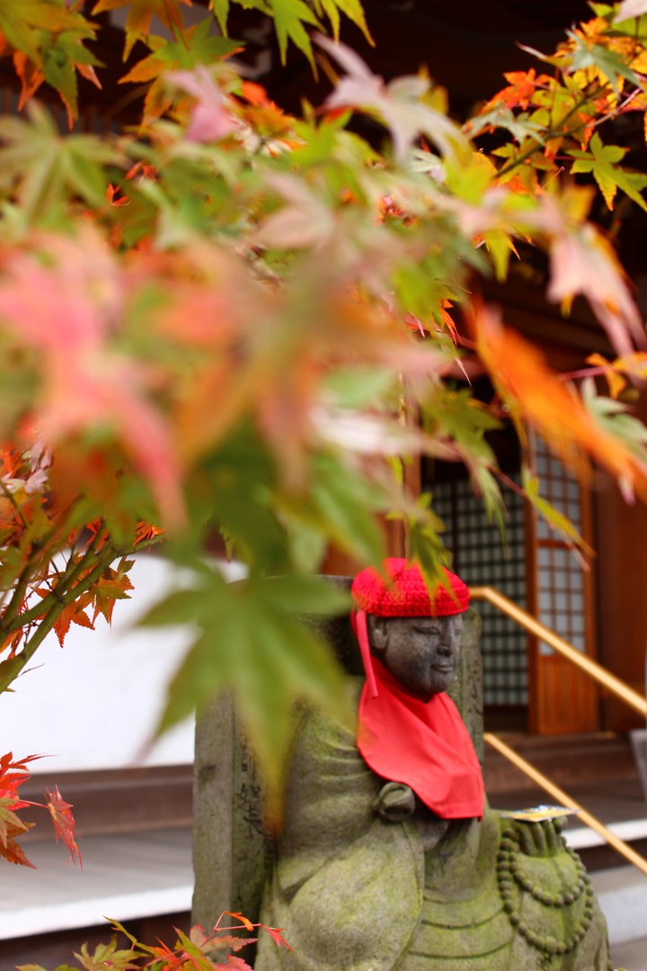 autumn,2018