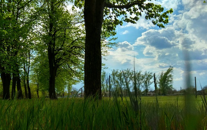 Spring