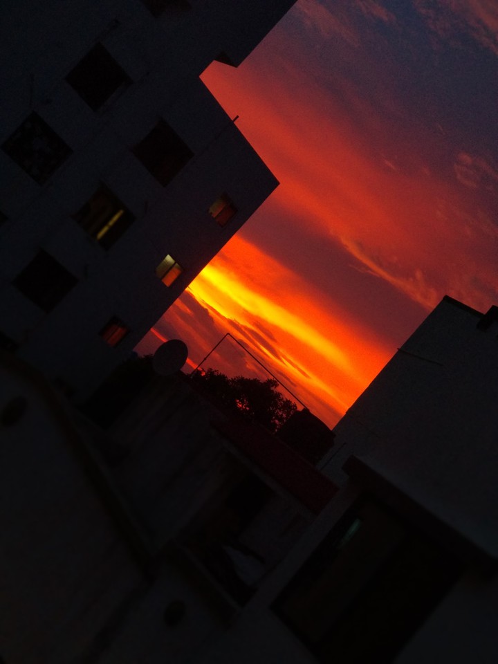 Nature is a true Artist