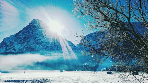 Winter