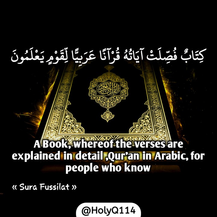 HolyQ114