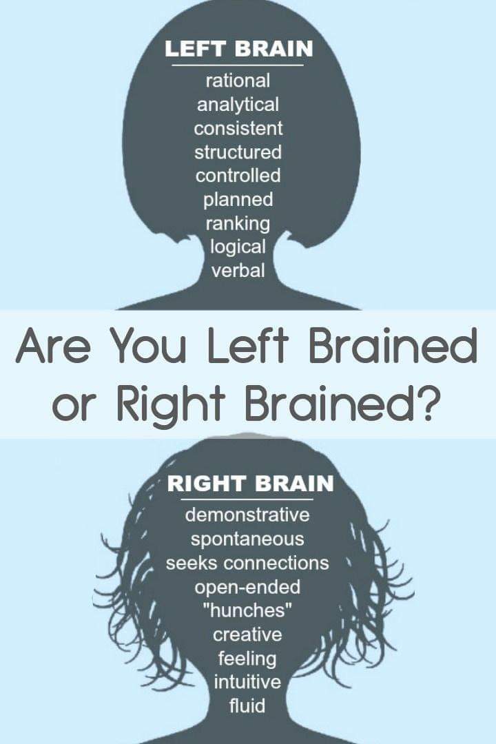 brain
