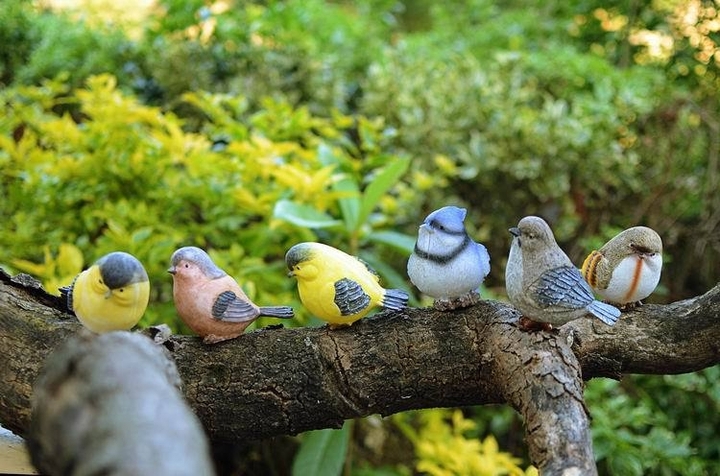 birdgarden