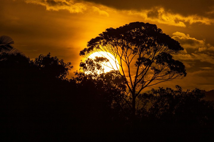 sunset
