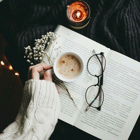 bookish adventure
