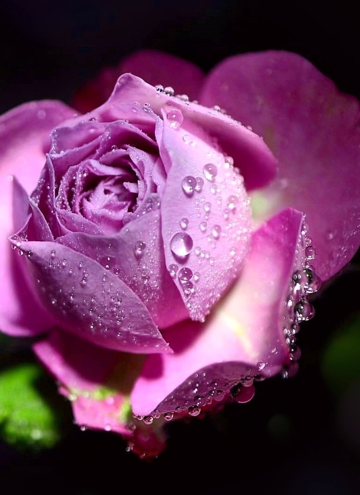 Macro
