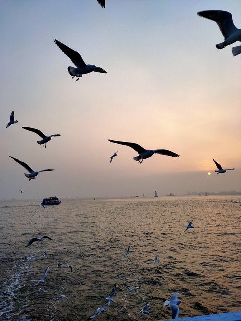 sunset