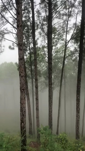 Uttarakhand