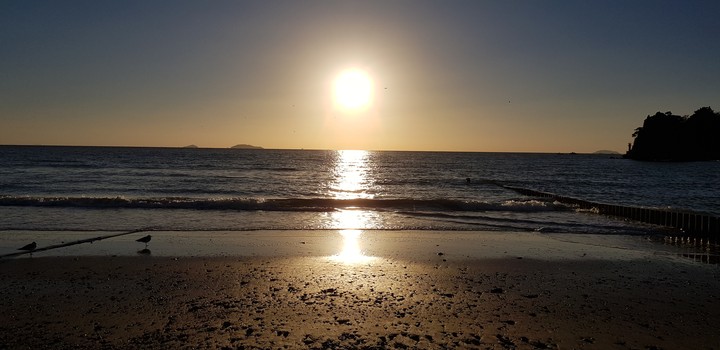 Sun