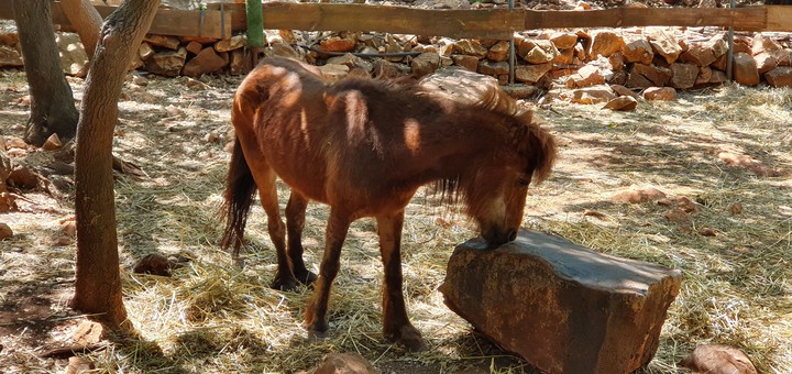 Zoo