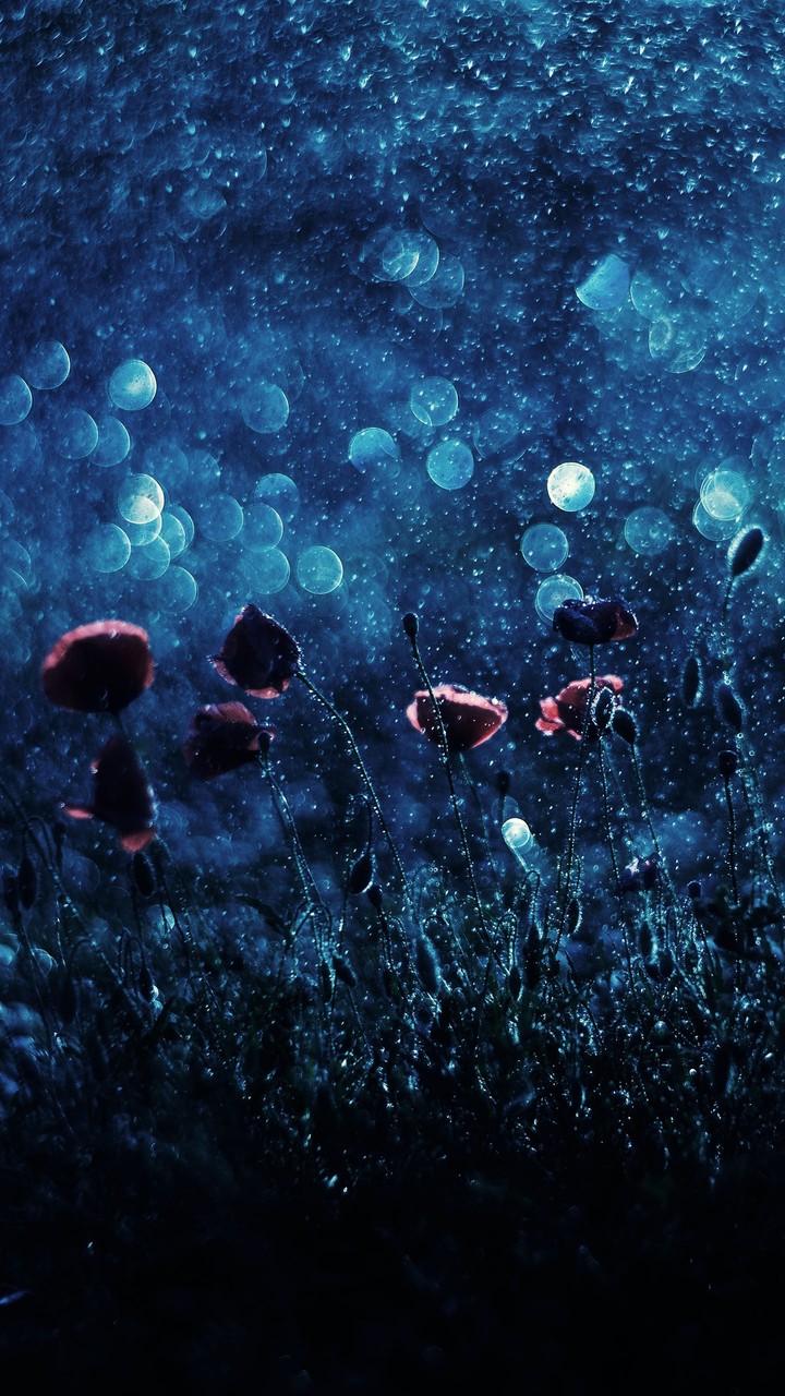 susurros