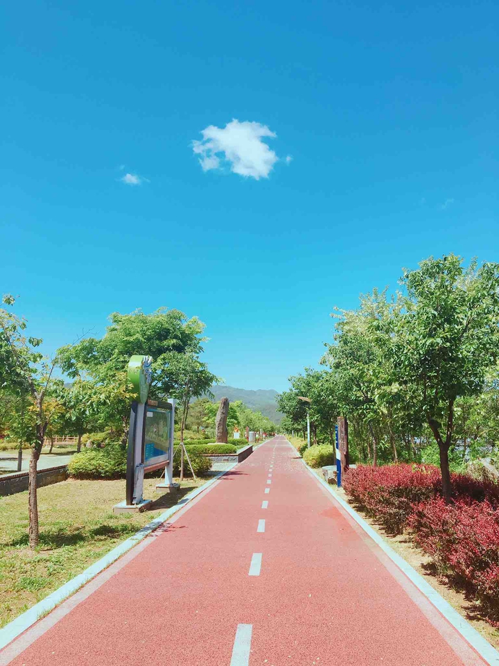 Road Red