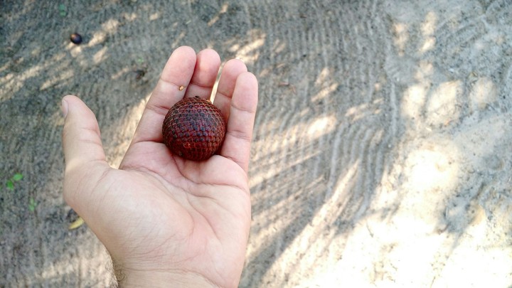 Buriti